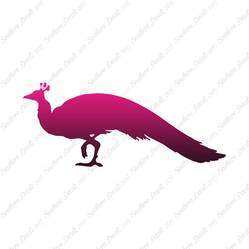 Peacock Bird