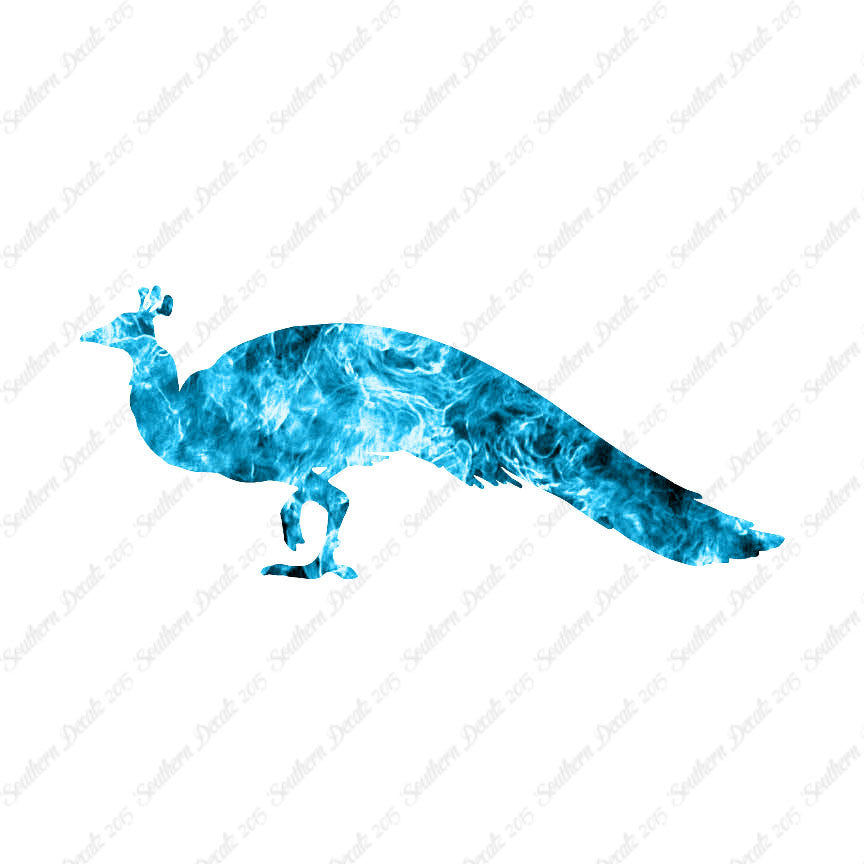 Peacock Bird