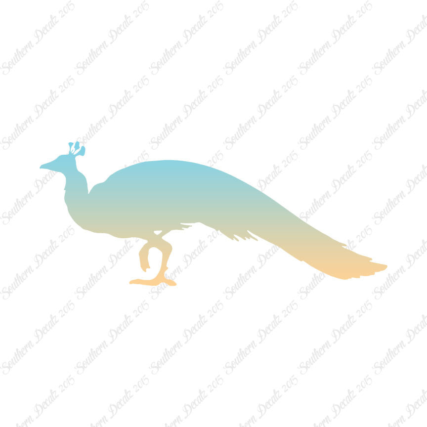 Peacock Bird