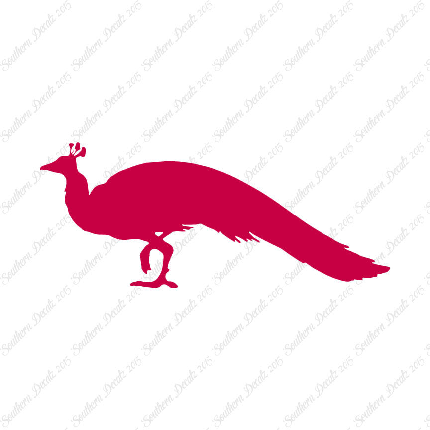 Peacock Bird