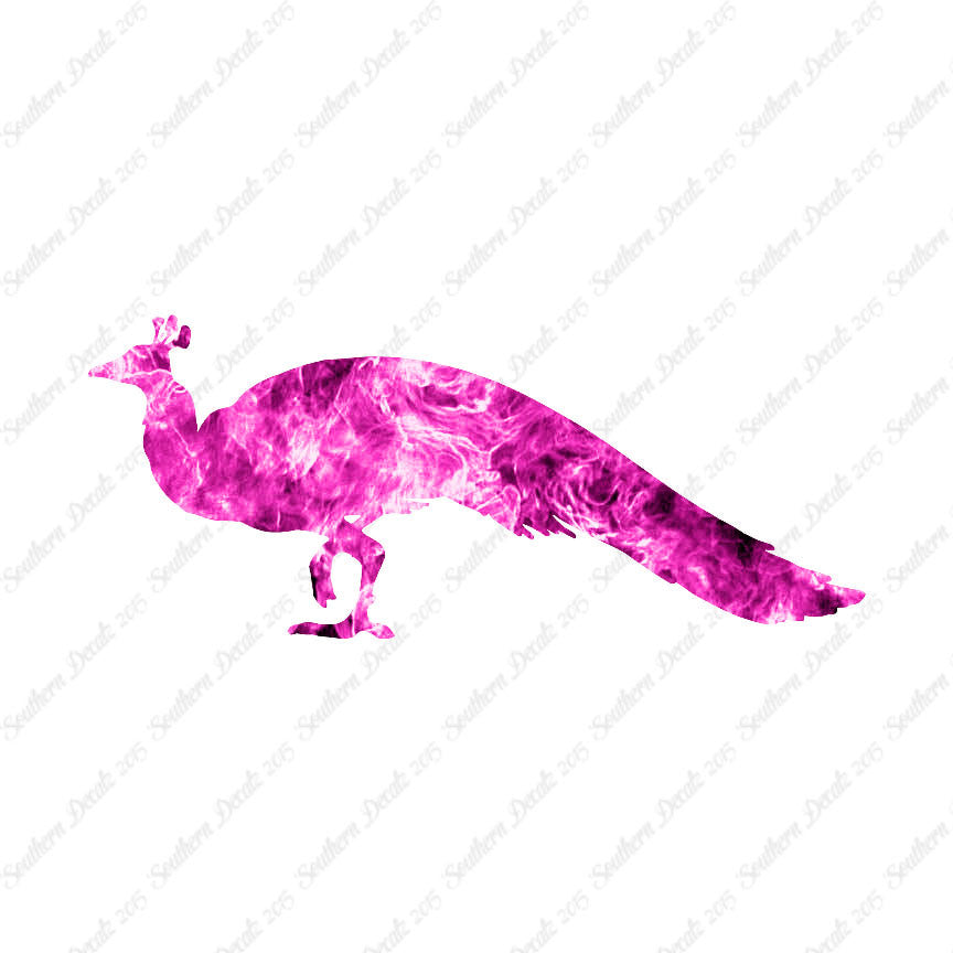 Peacock Bird