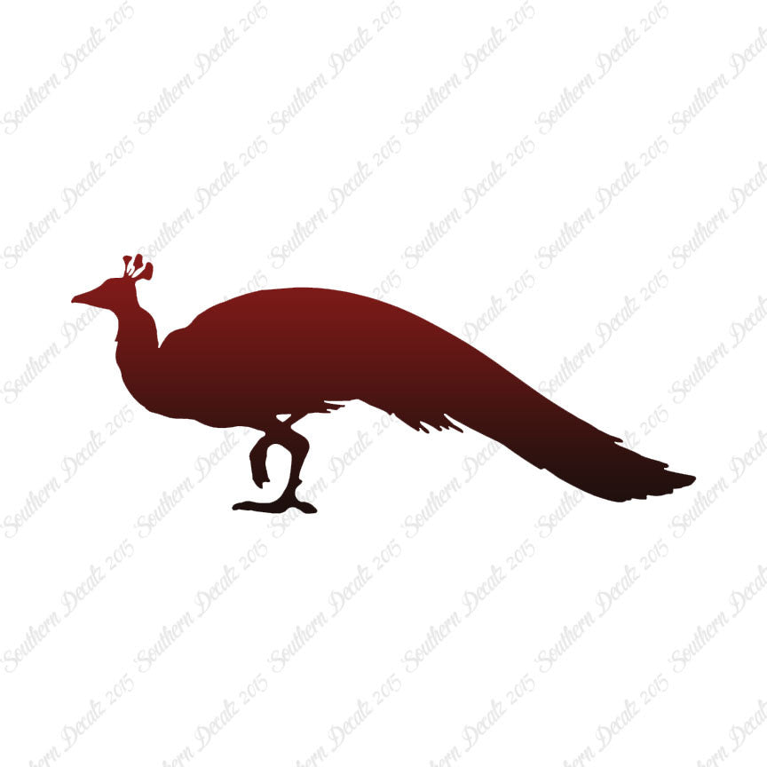 Peacock Bird