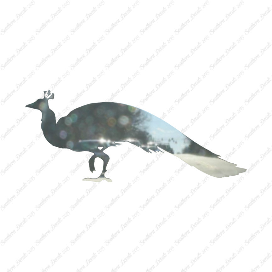 Peacock Bird