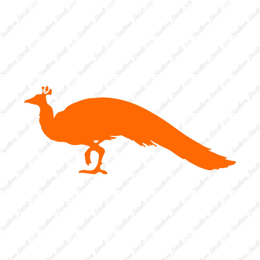 Peacock Bird