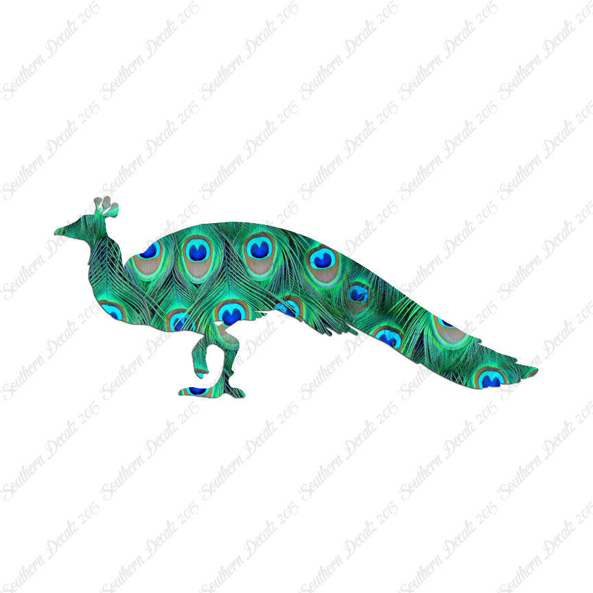Peacock Bird