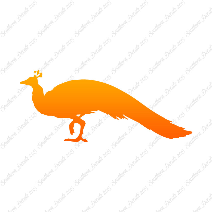 Peacock Bird