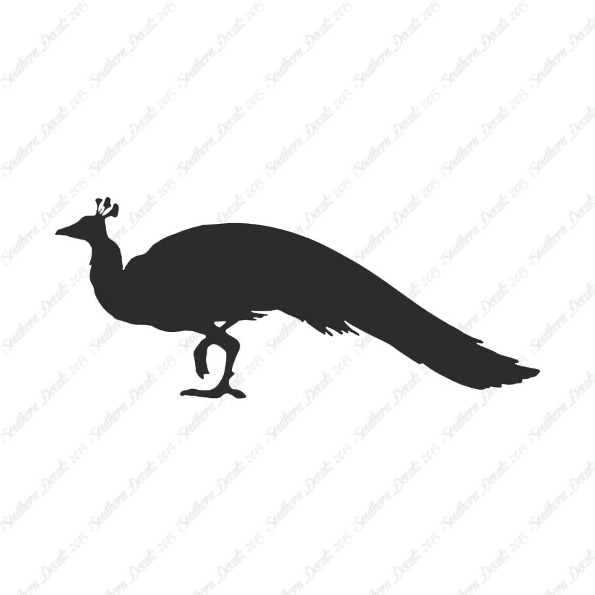 Peacock Bird