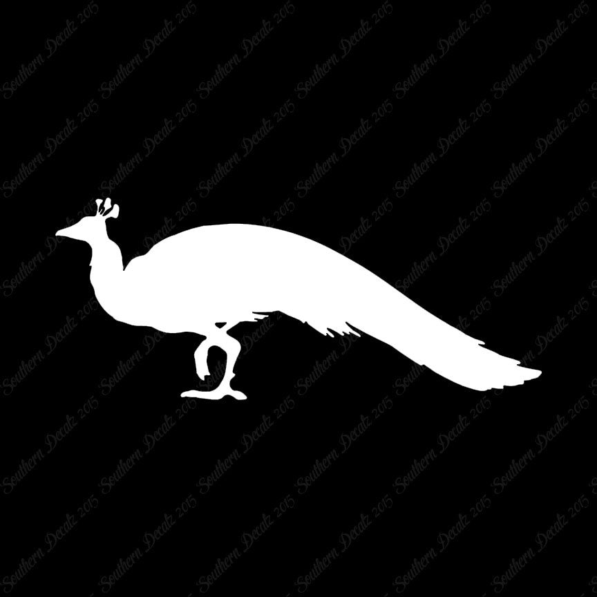 Peacock Bird