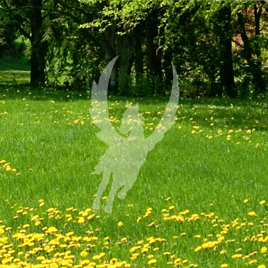 Pegasus Flying Horse