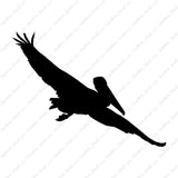 Pelican Stock Bird
