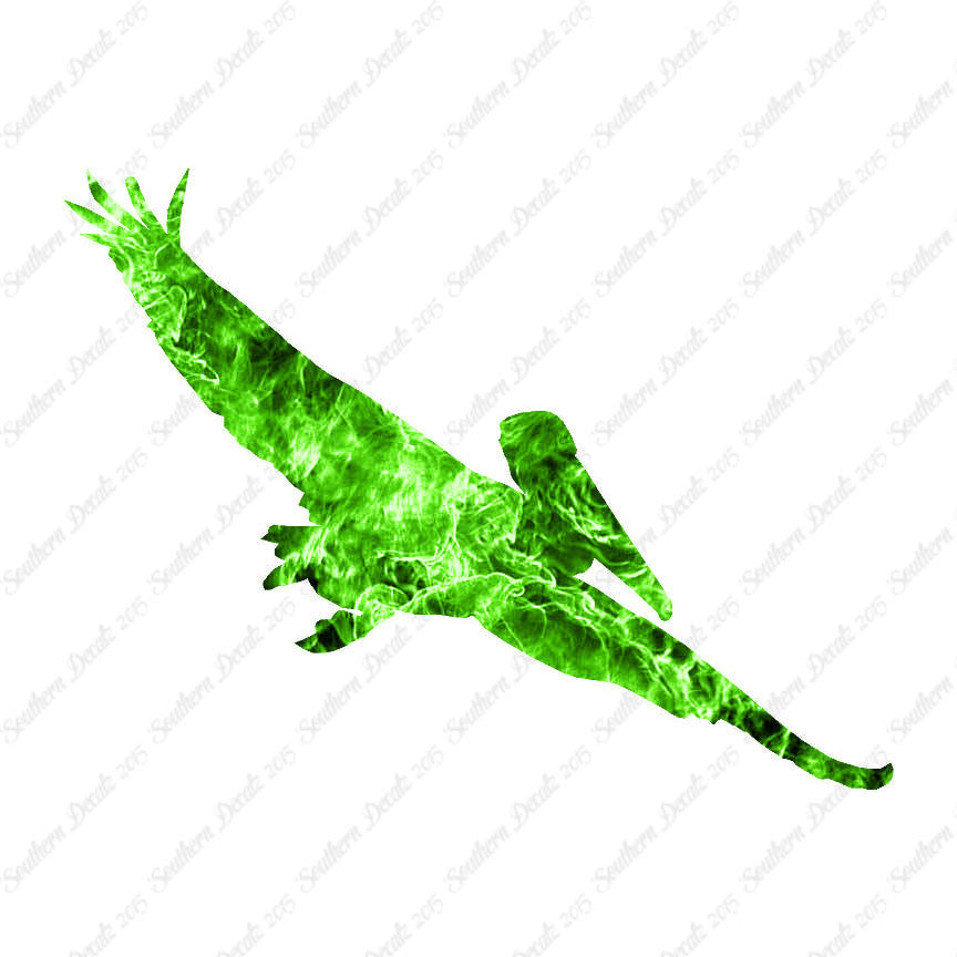 Pelican Stock Bird