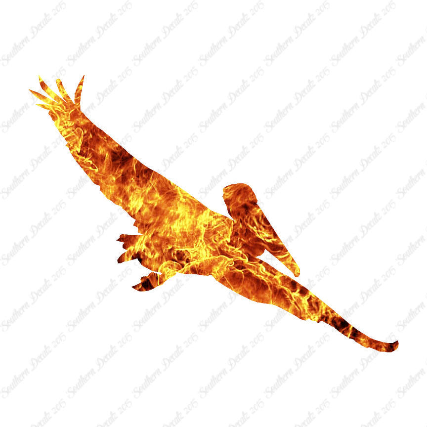 Pelican Stock Bird