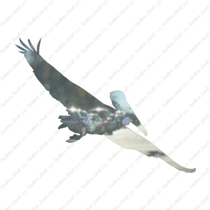 Pelican Stock Bird