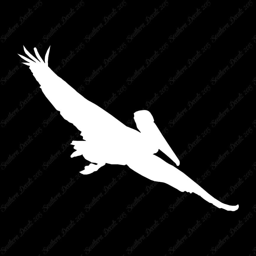 Pelican Stock Bird