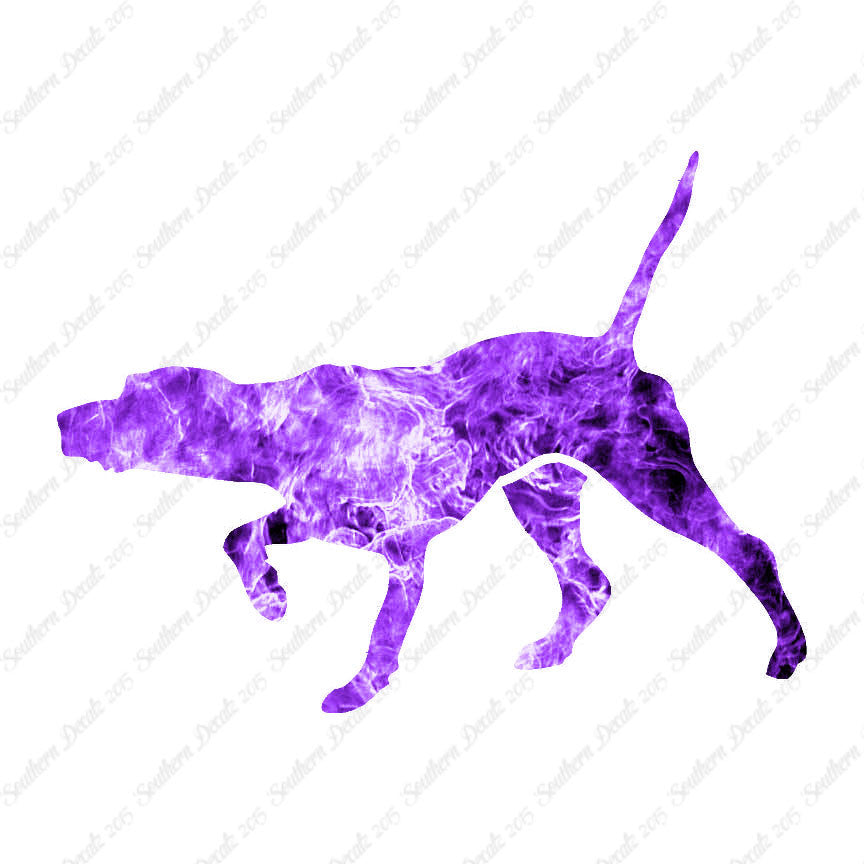 Pointer Dog