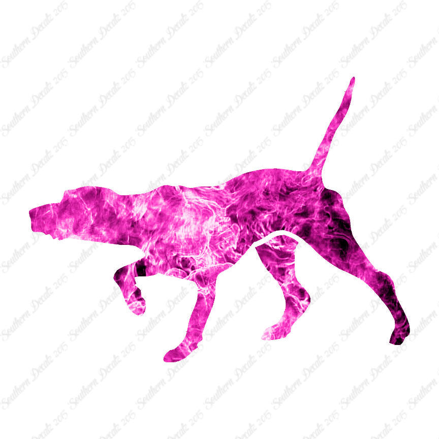 Pointer Dog