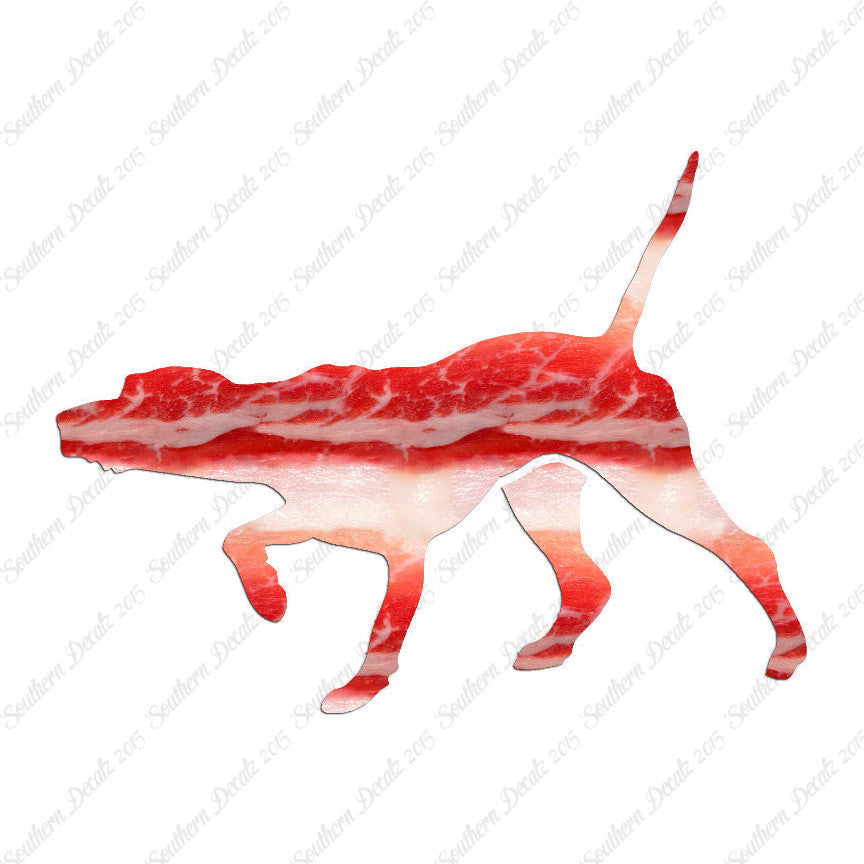 Pointer Dog