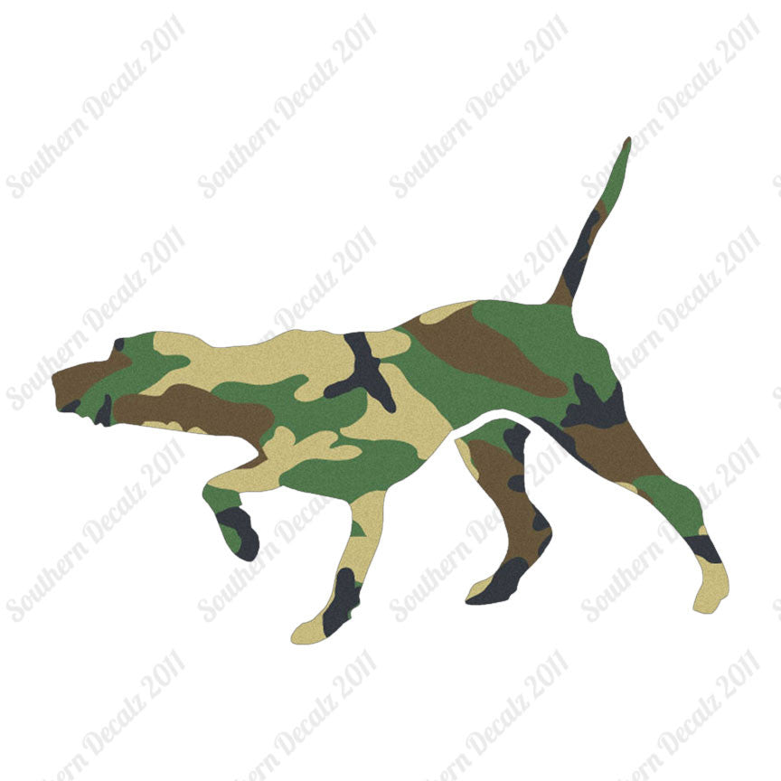 Pointer Dog