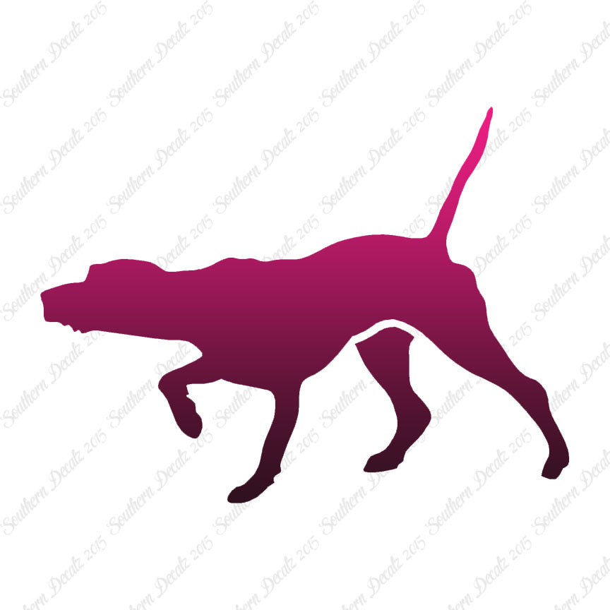 Pointer Dog