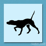 Pointer Dog