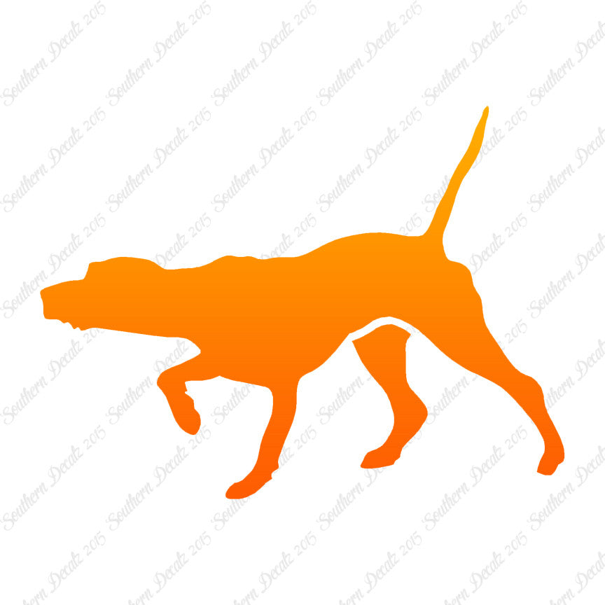 Pointer Dog