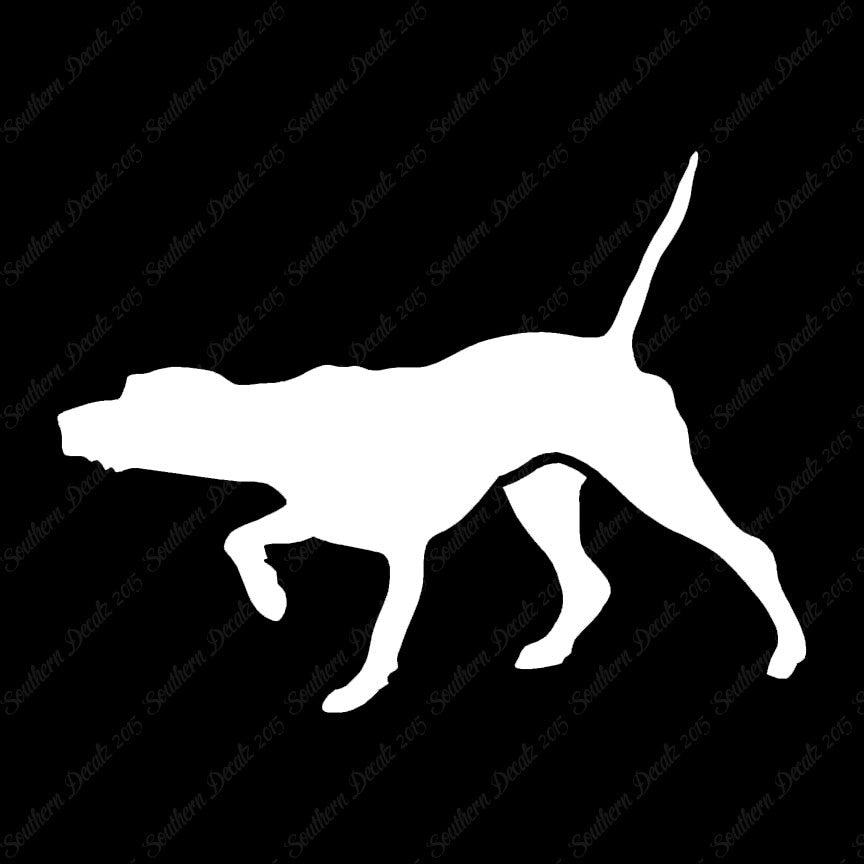 Pointer Dog
