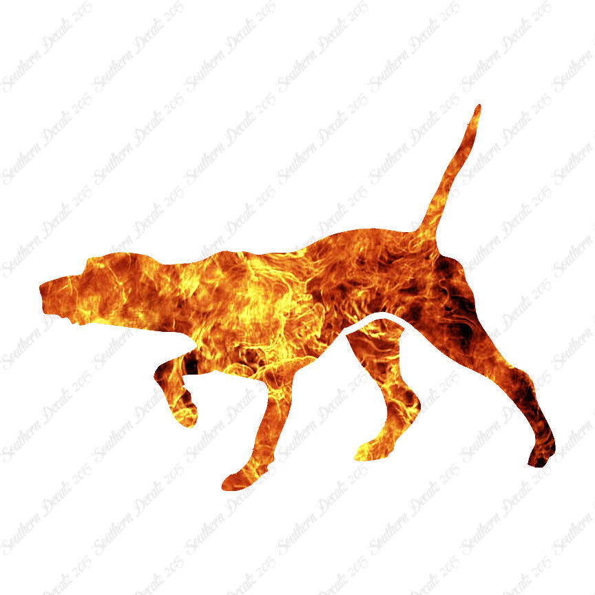Pointer Dog
