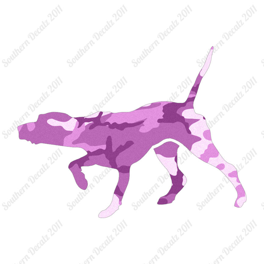 Pointer Dog