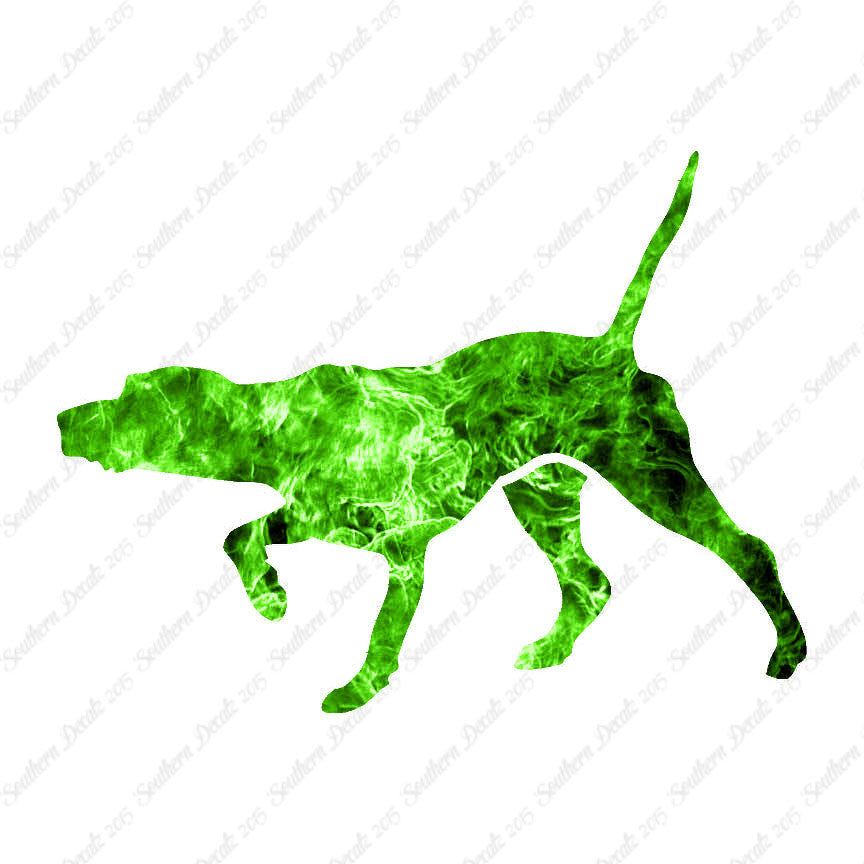 Pointer Dog