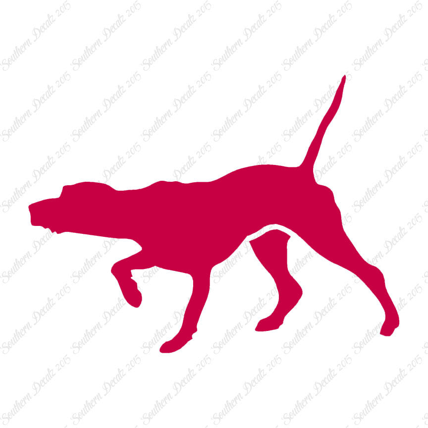 Pointer Dog