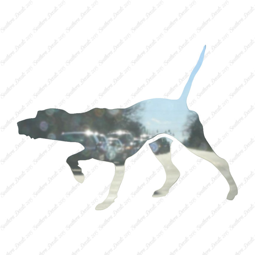 Pointer Dog