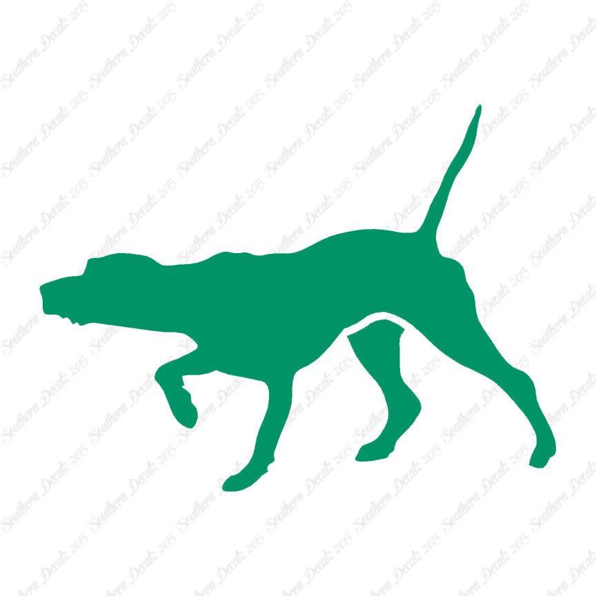 Pointer Dog