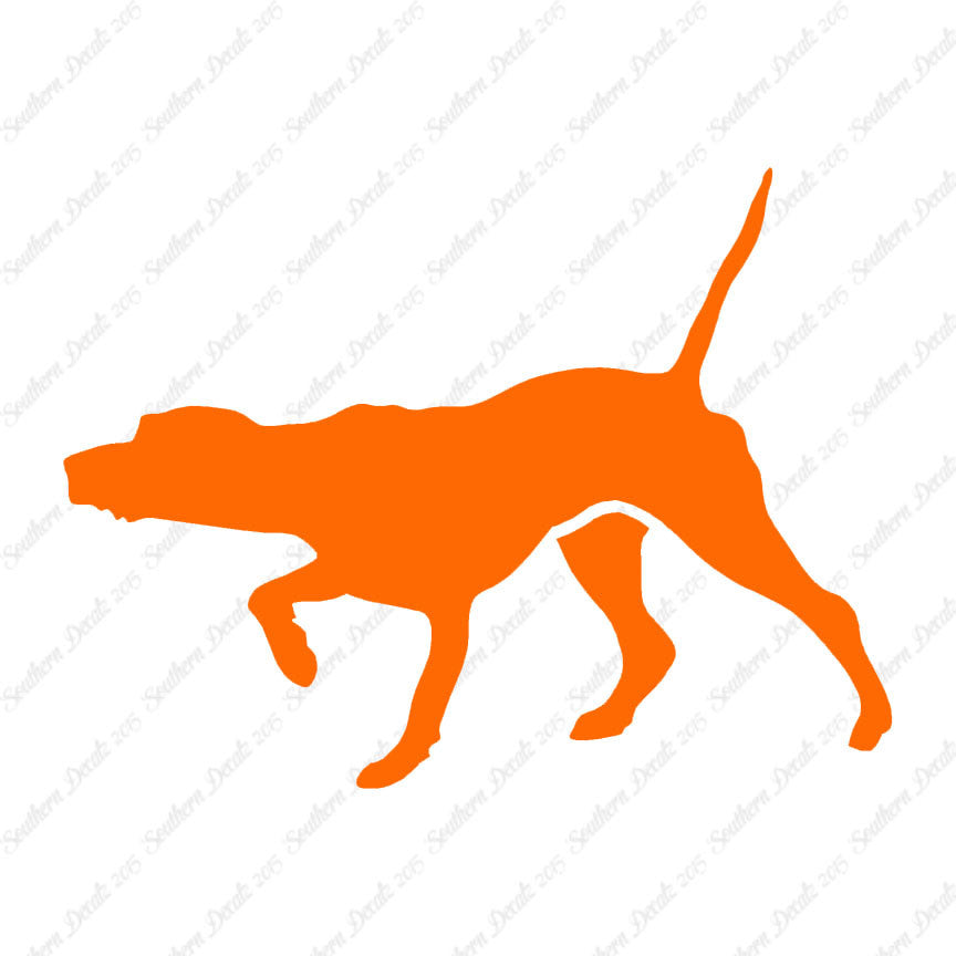 Pointer Dog