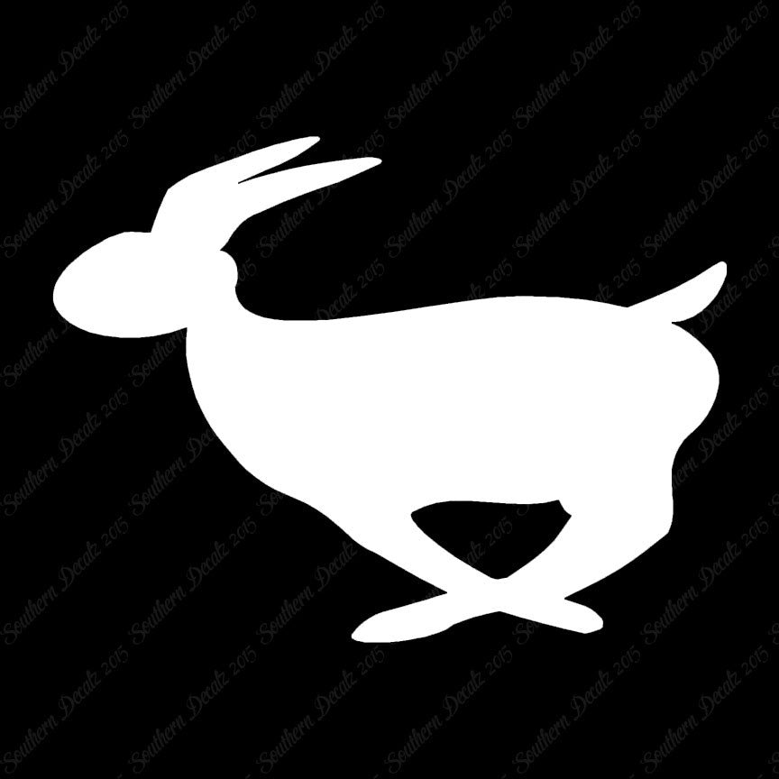 Rabbit Bunny Running