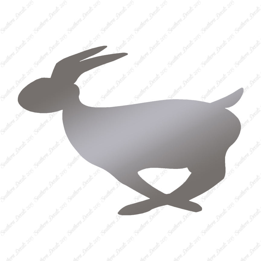 Rabbit Bunny Running