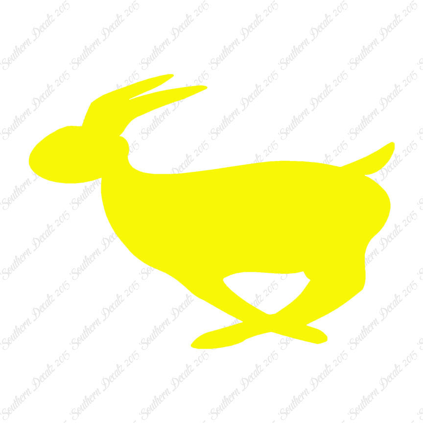 Rabbit Bunny Running
