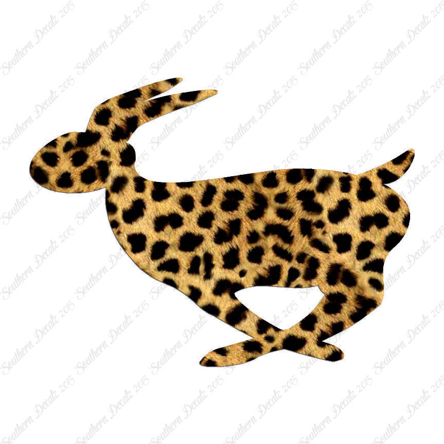 Rabbit Bunny Running