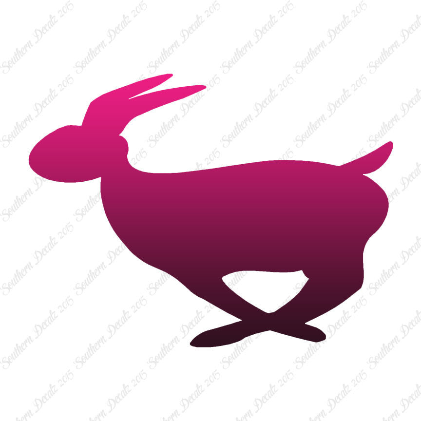 Rabbit Bunny Running