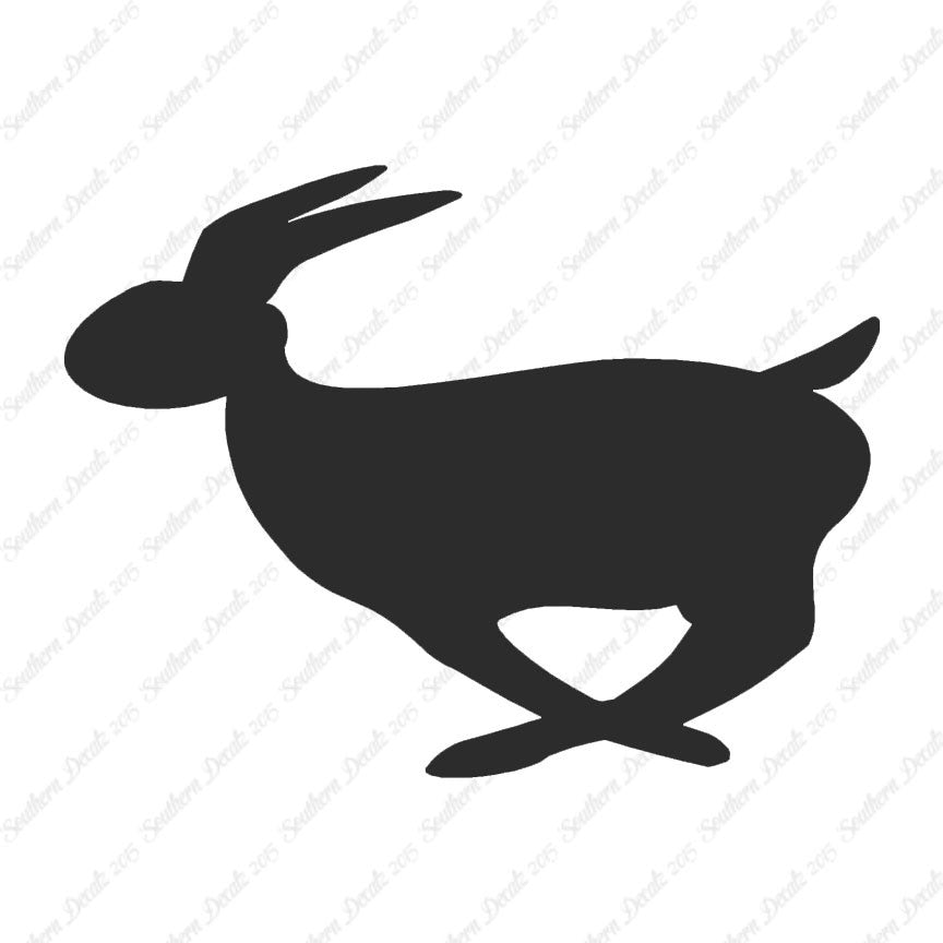 Rabbit Bunny Running