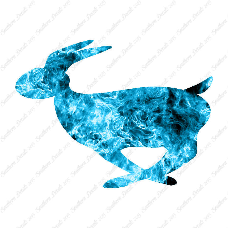 Rabbit Bunny Running