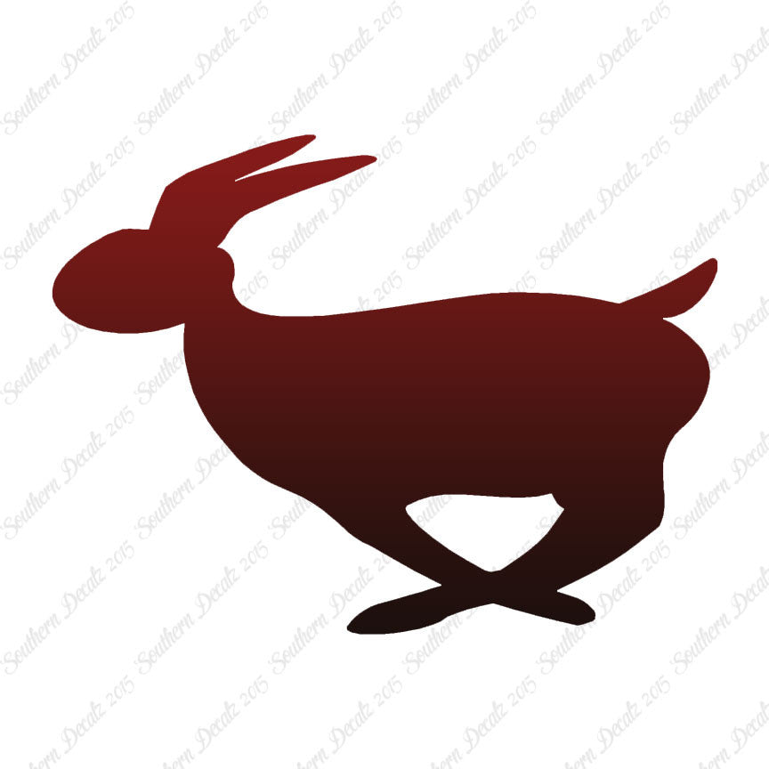 Rabbit Bunny Running