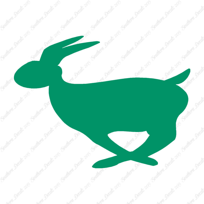 Rabbit Bunny Running