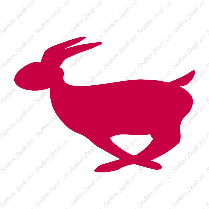 Rabbit Bunny Running