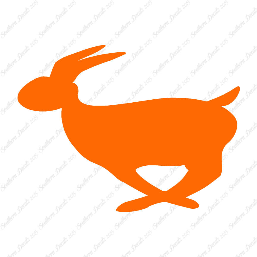 Rabbit Bunny Running