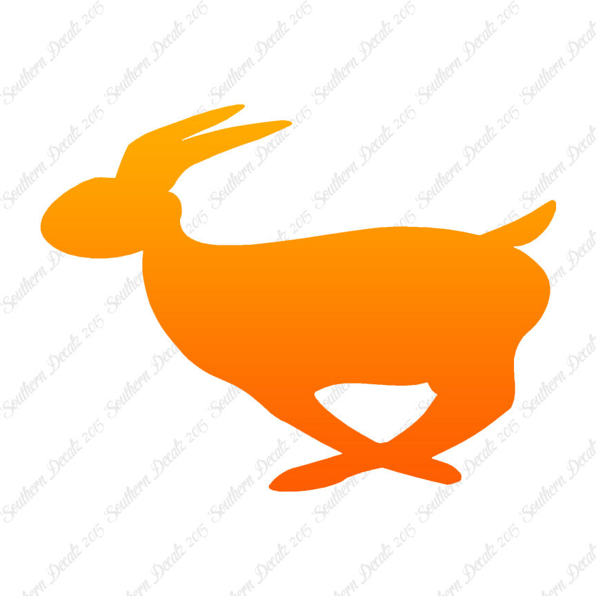 Rabbit Bunny Running