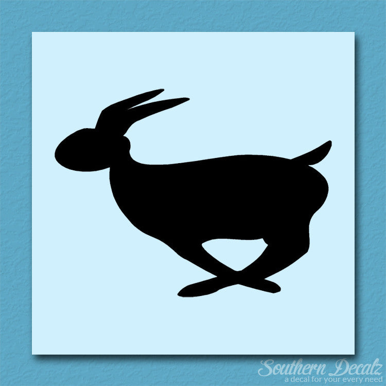 Rabbit Bunny Running