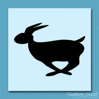 Rabbit Bunny Running