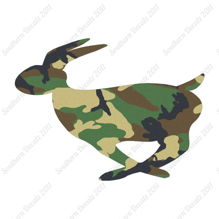 Rabbit Bunny Running