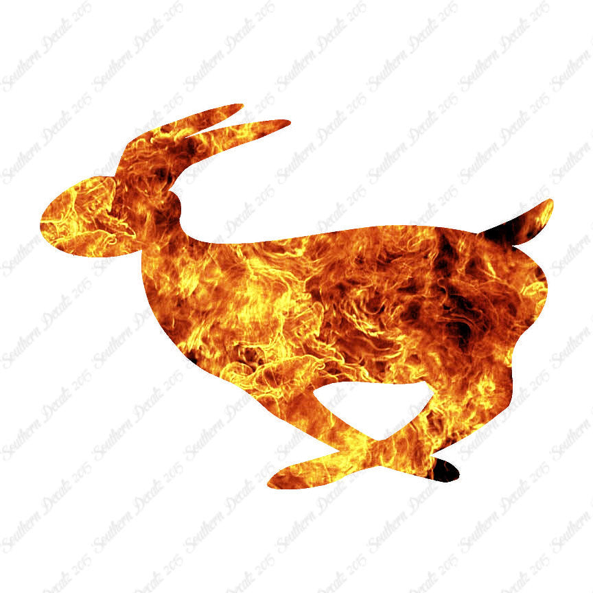 Rabbit Bunny Running