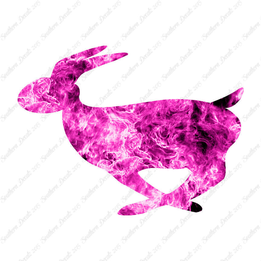 Rabbit Bunny Running